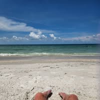 Tracy Waterman-Toler's profile image
