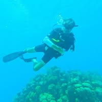 Phil Swanson's profile image