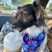 Kathleen Kovach's profile image