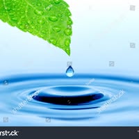 Ishtiaque A Siddique's profile image