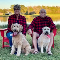 John Hutchinson's profile image