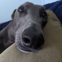 Mark Cairns's profile image