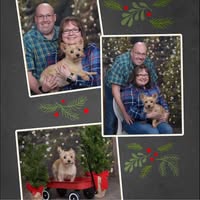 Sherri Donovan's profile image