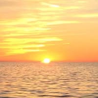 Tina Dowd's profile image