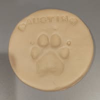 Amy Boffo's profile image
