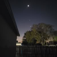David Werner's profile image