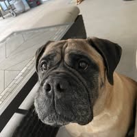 Christina Marie's profile image