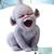 Adrian Farms's profile image
