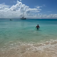 Mike Tissier's profile image
