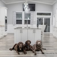 East Coast Contracting A-Z LLC's profile image