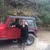 Laurel Johnson Miller's profile image