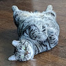Lynette's profile image