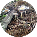 Michael Marks's Profile Image
