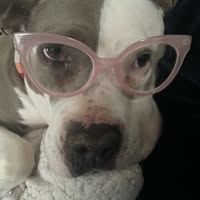 Audra Jones's profile image