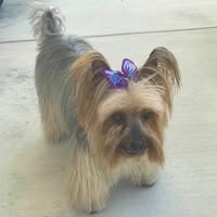 Judy Raymondi Reed's profile image