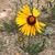 Kathleen Ashpaugh's profile image