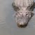 Susan A.'s profile image