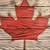 Sean McCullough's profile image