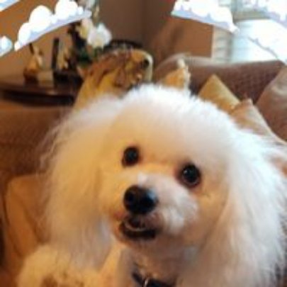 Chris G.'s profile image