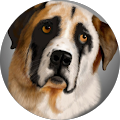 Ward De Witt's Profile Image