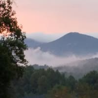 Carole Alverson's profile image