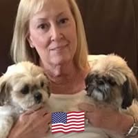 Sandy Stewart's profile image
