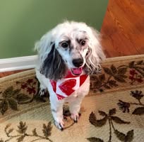 Judy Vorndran's profile image