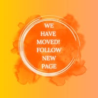 Shauna Turk's profile image