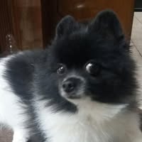 Deidra Forthe's profile image