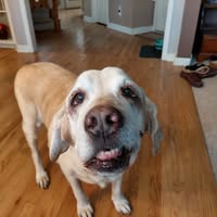 Theresa Mowdy Spahr's profile image