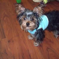 Cynthia D. Mattox-Marshall's profile image