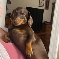 Shannon Williams Ayers's profile image