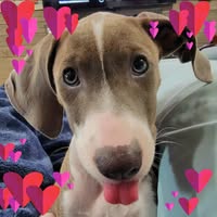 Jennifer Hughes Richardson's profile image