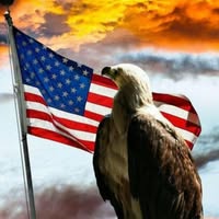 Jim Harvey's profile image