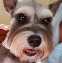 Deborah Ann Shipley-luciano's profile image
