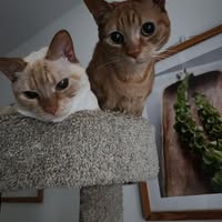 Barbara Holloway's profile image
