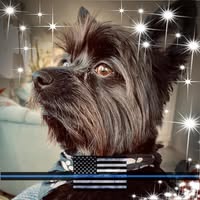 Evelyn DePietro's profile image