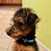 Sue Beaman's profile image