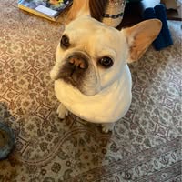 Cheri Dooley-Huff's profile image