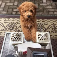 Beth Selby's profile image