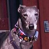 Priscilla Crossland's profile image