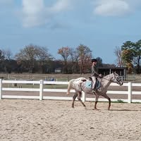 Cheryl Truitt's profile image