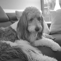 Betty Ann Gibbs-Romanowski's profile image