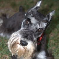 Bonnie Morris's profile image