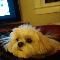 Sally Ann Jefferson's profile image