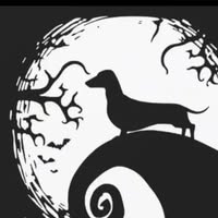 Cindy Day's profile image