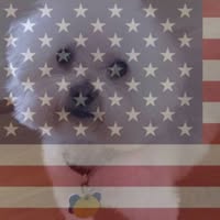 Robin Gray's profile image