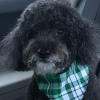 Florence Carver's profile image