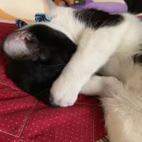Jenni Lindsay's profile image
