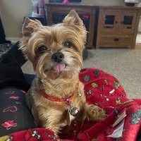 Cindi Serrano's profile image